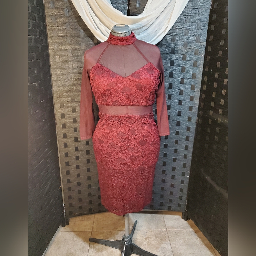 Lace and mesh burgundy dress